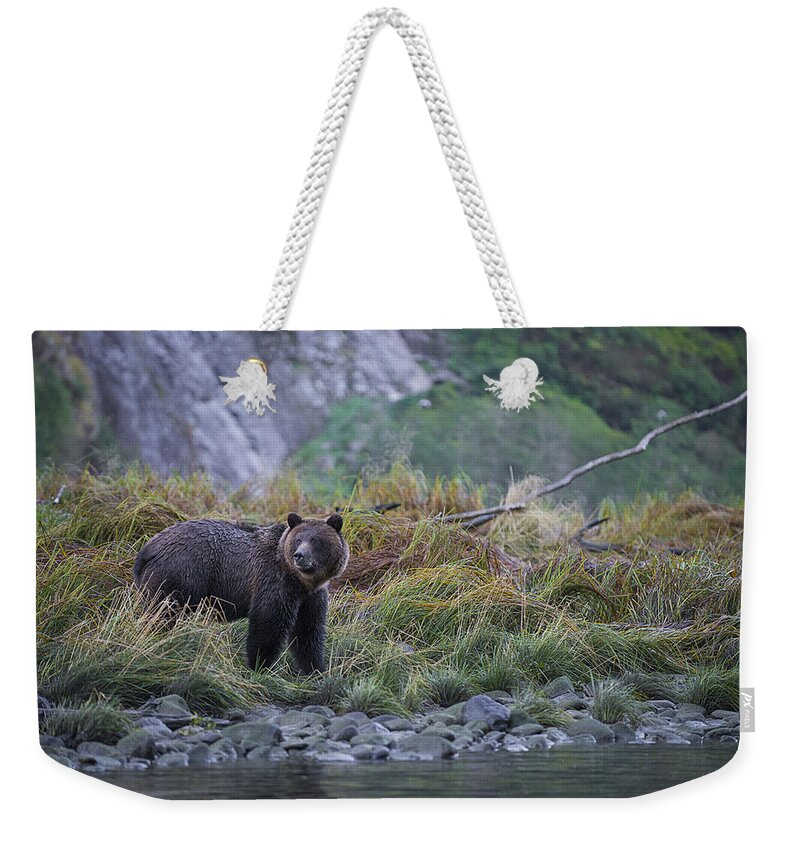 Bear Weekender Tote Bag featuring the photograph Grizzly Watching by Bill Cubitt