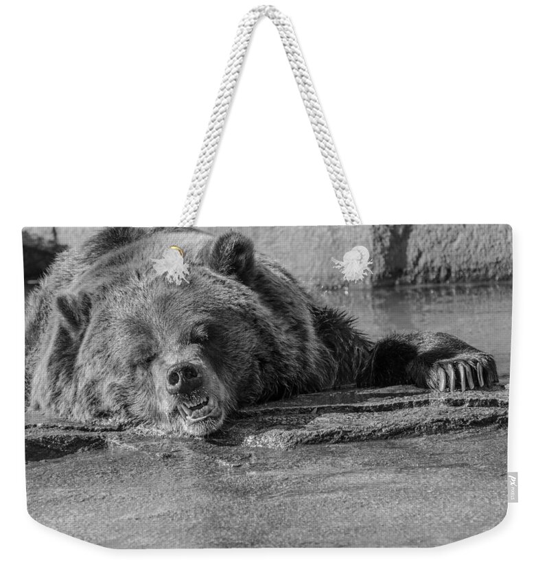 Grouchy Bear Weekender Tote Bag featuring the photograph Grouchy Bear - Black and White by Susan McMenamin