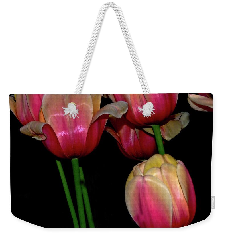 Tulip Weekender Tote Bag featuring the photograph Grouping ofPink and Yellow Tulips by Frances Ann Hattier