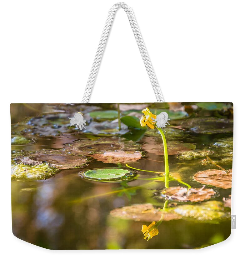 Plants Weekender Tote Bag featuring the photograph Growing in the water by Mariusz Talarek