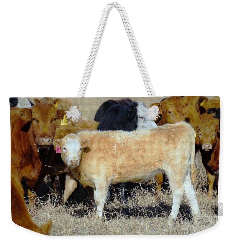 Calf Weekender Tote Bag featuring the photograph Growing up by Merle Grenz