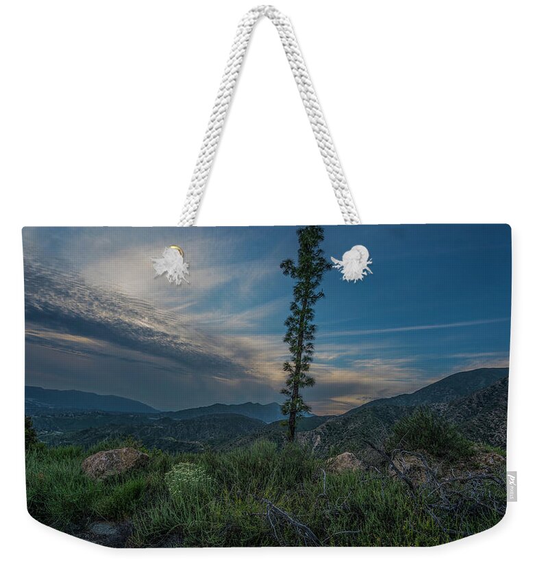 Growth Spurt To The Heavens Weekender Tote Bag featuring the photograph Growth Spurt To The Heavens by Kenneth James