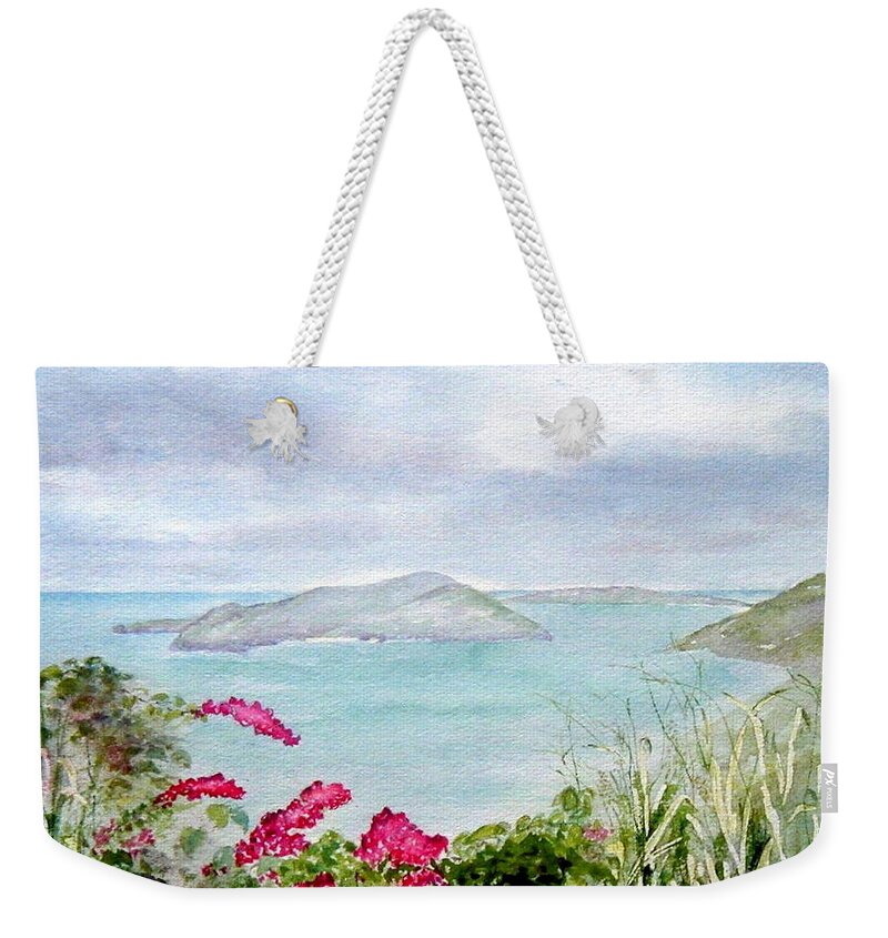 Tortola Weekender Tote Bag featuring the painting Guana Island by Diane Kirk