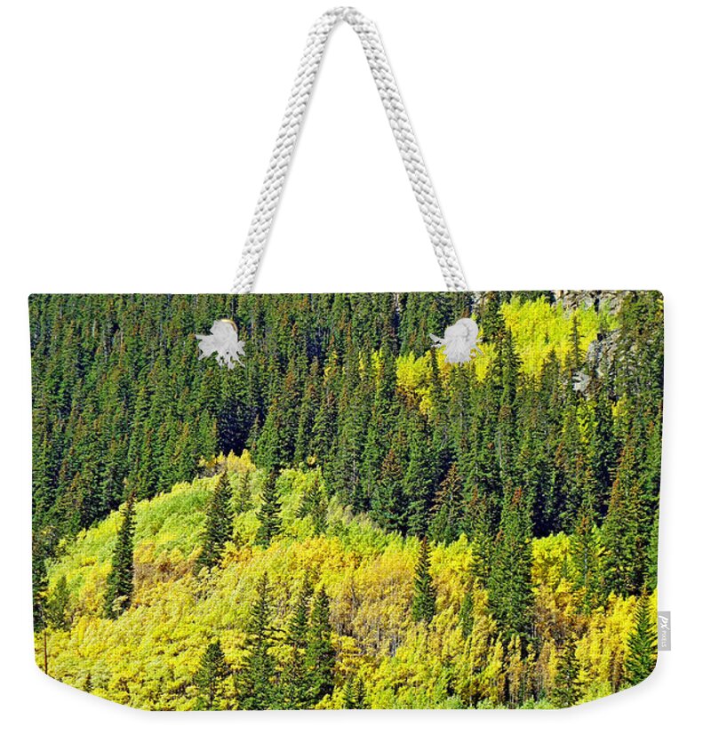 Guanella Pass Weekender Tote Bag featuring the photograph Guanella Pass Study 2 by Robert Meyers-Lussier