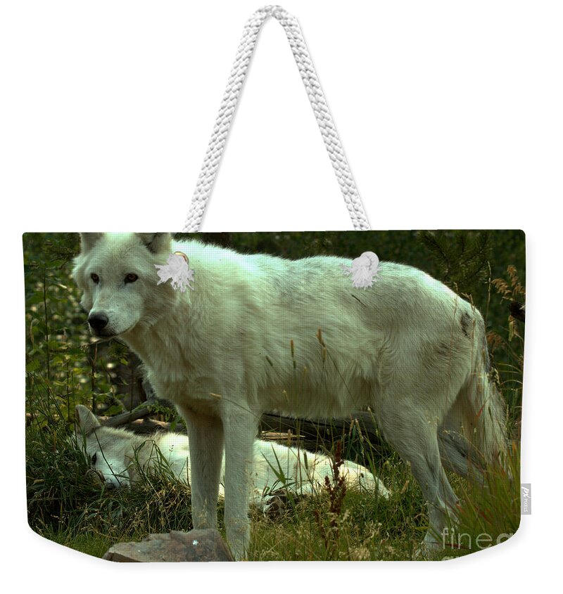 Wolves Weekender Tote Bag featuring the photograph Guardian Of The Pack by Adam Jewell