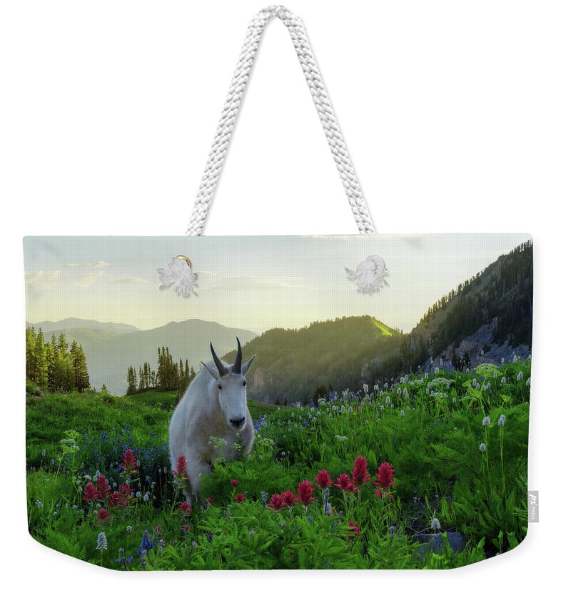  Weekender Tote Bag featuring the photograph Guardian of Timpanogos by Dustin LeFevre