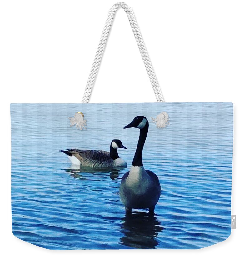 Geese Weekender Tote Bag featuring the photograph Guarding Geese by Vic Ritchey