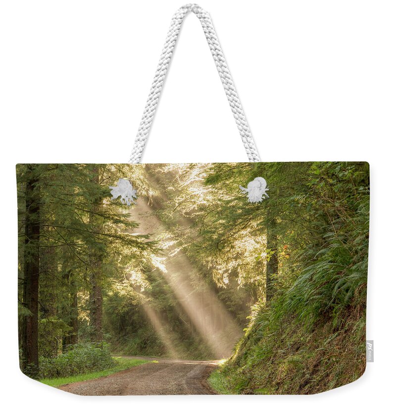 Cascade Head Weekender Tote Bag featuring the photograph Guiding Light by Kristina Rinell