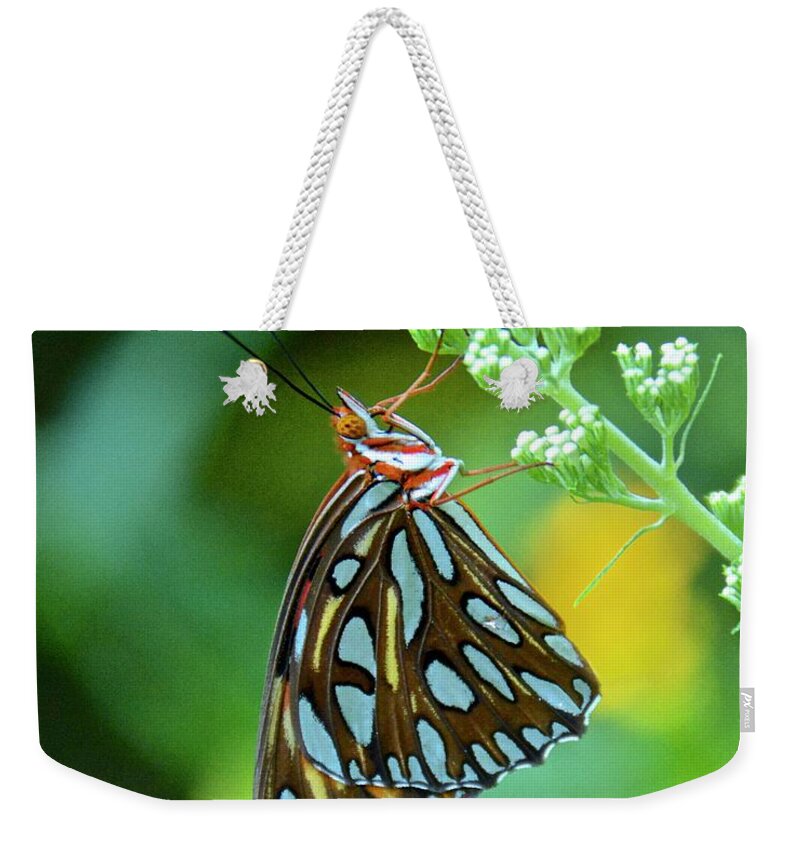 Butterfly Weekender Tote Bag featuring the photograph Gulf Fritillary on Butterfly Bush by Carol Bradley