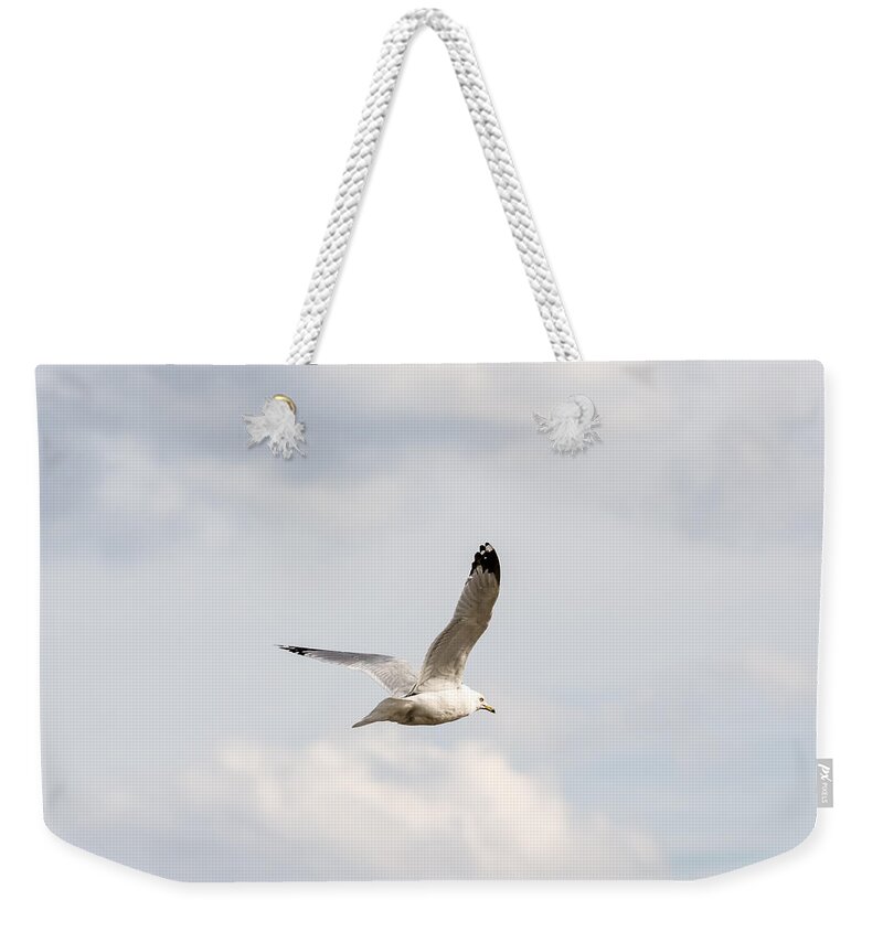 Gull Weekender Tote Bag featuring the photograph Gull in Flight by Holden The Moment