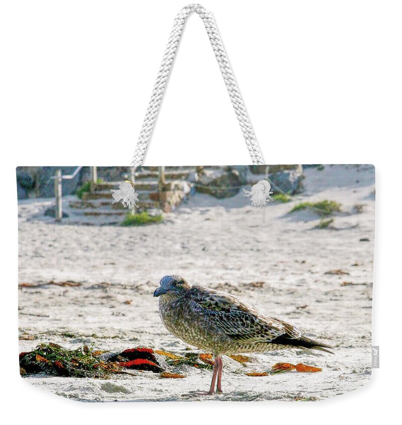 Gull On The Beach Weekender Tote Bag featuring the photograph Gull On The Beach by Her Arts Desire