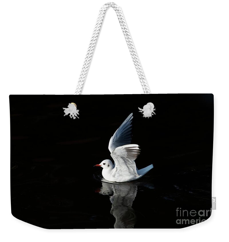 Floating Weekender Tote Bag featuring the photograph Gull on the water by Michal Boubin