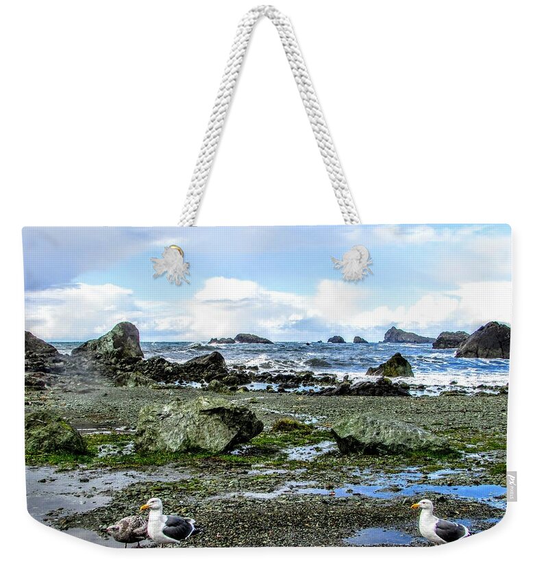 Sky Weekender Tote Bag featuring the photograph Gulls by Marilyn Diaz