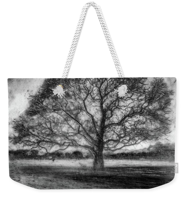 Trees Weekender Tote Bag featuring the mixed media Hagley Tree 2 by Roseanne Jones