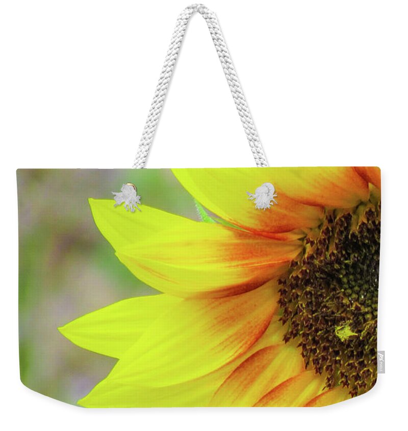 Flower Weekender Tote Bag featuring the photograph Half Sunflower by Cesar Vieira