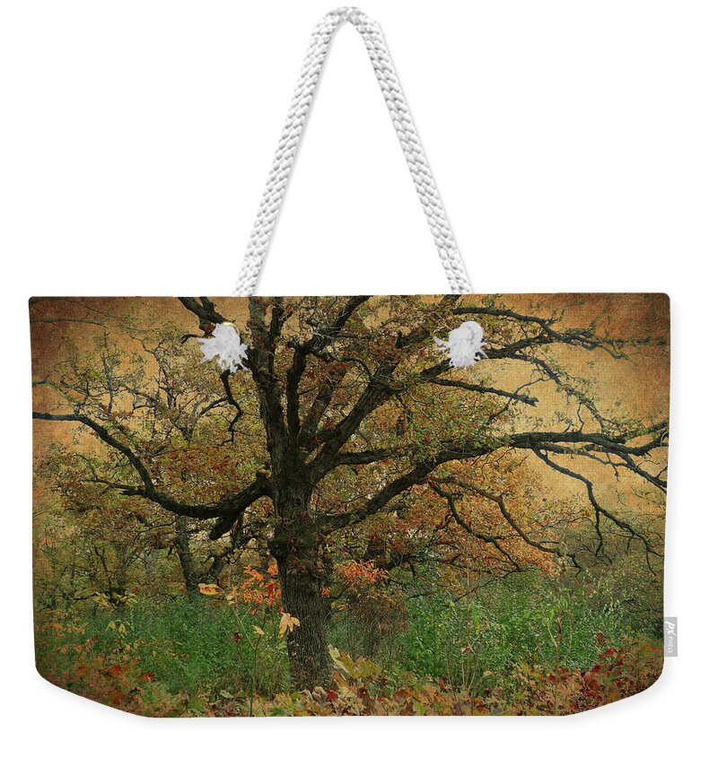 Autumn Weekender Tote Bag featuring the photograph Halloween Tree 2 by Scott Kingery