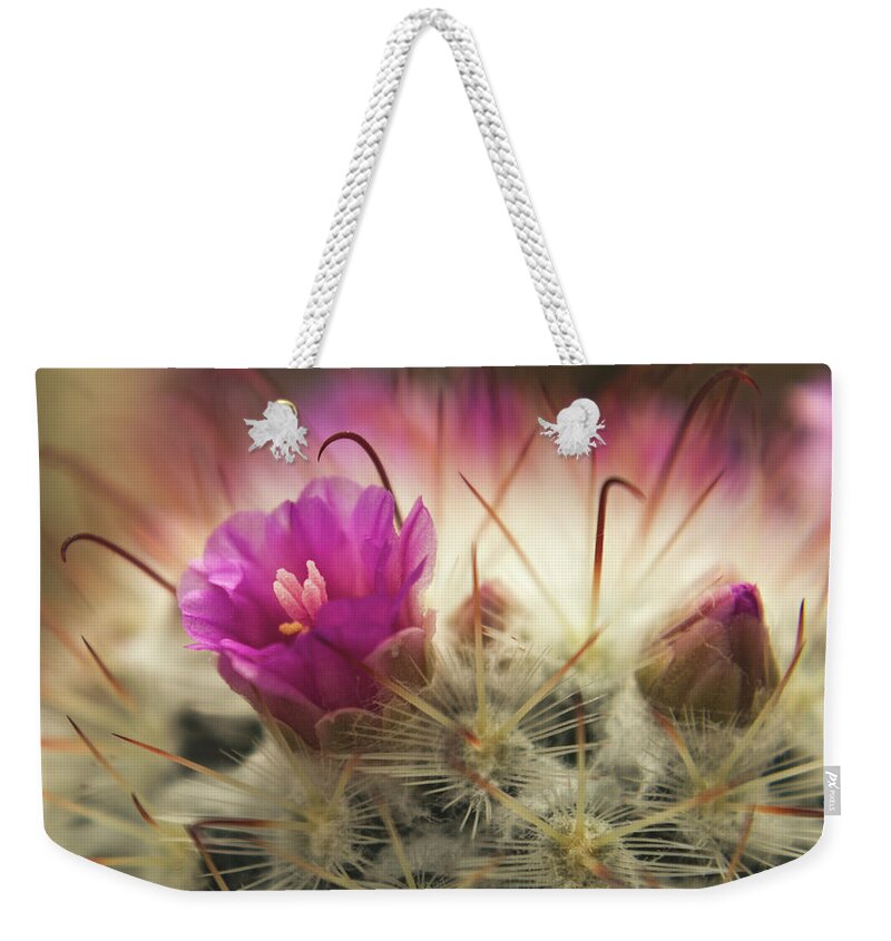 Cactus Weekender Tote Bag featuring the photograph Handle with Care by Holly Ross