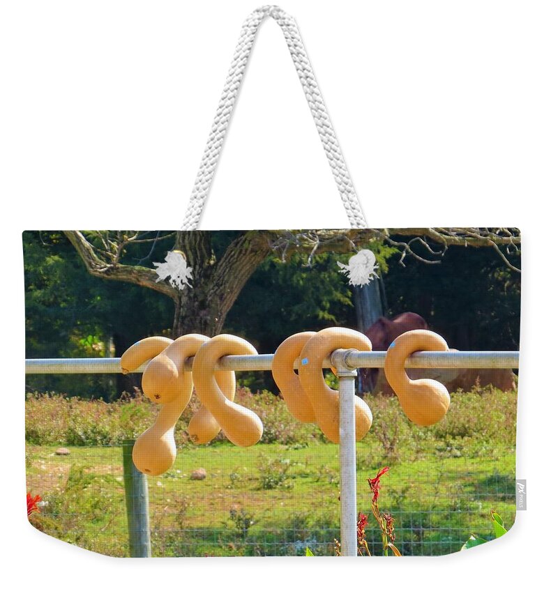 Autumn Weekender Tote Bag featuring the photograph Hang In There by Jeanette Oberholtzer