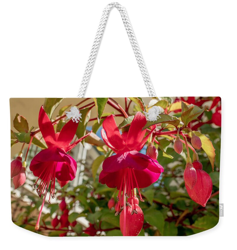 Flower Weekender Tote Bag featuring the photograph Hanging Around by Derek Dean