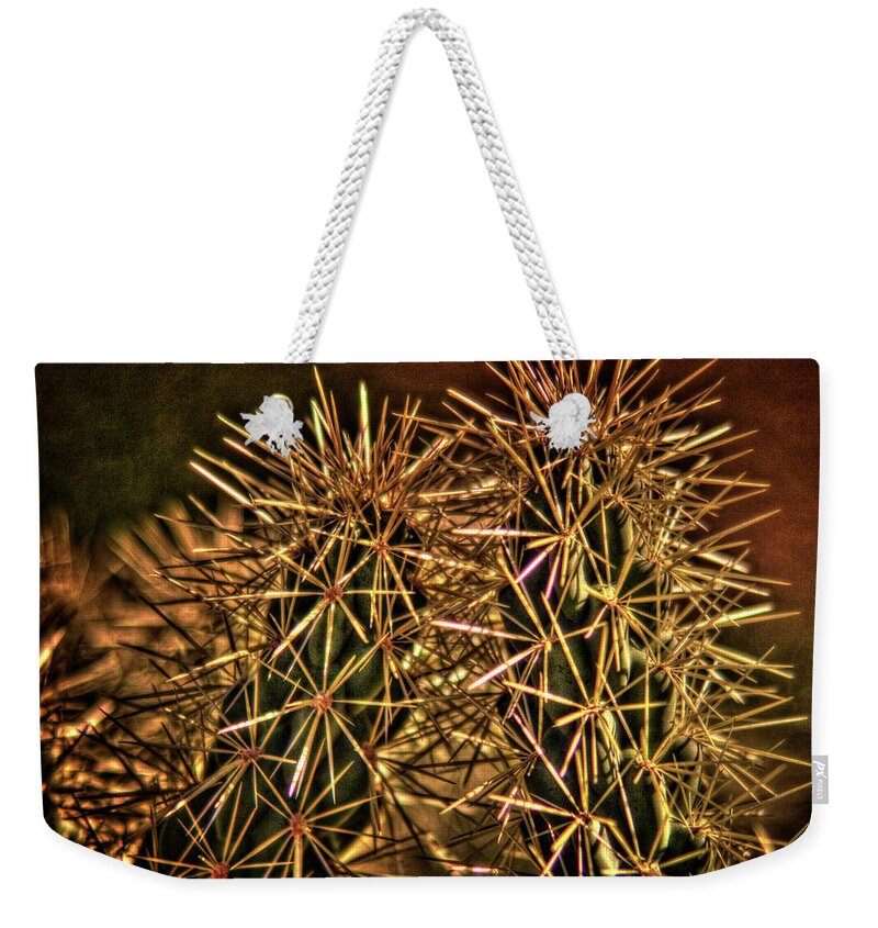 Arizona Weekender Tote Bag featuring the photograph Hanging Fruit Cholla Spine Detail by Roger Passman