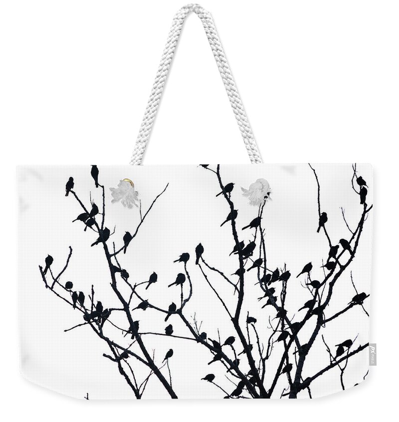 Explore Illinois Weekender Tote Bag featuring the photograph Hanging Out by Lauri Novak