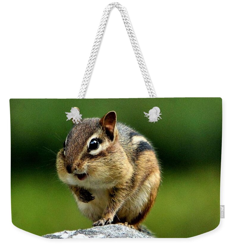 Chipmunk Weekender Tote Bag featuring the photograph Happily Surprised Chipmunk by Dani McEvoy