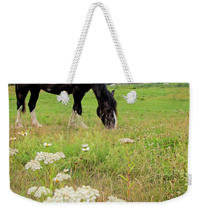 Horse Weekender Tote Bag featuring the photograph Happy as a Horse by Elizabeth Dow