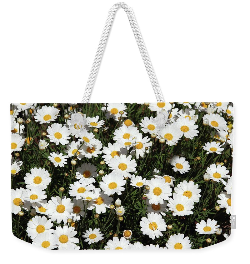 Daisy Weekender Tote Bag featuring the mixed media Happy Daisies- Photography by Linda Woods by Linda Woods