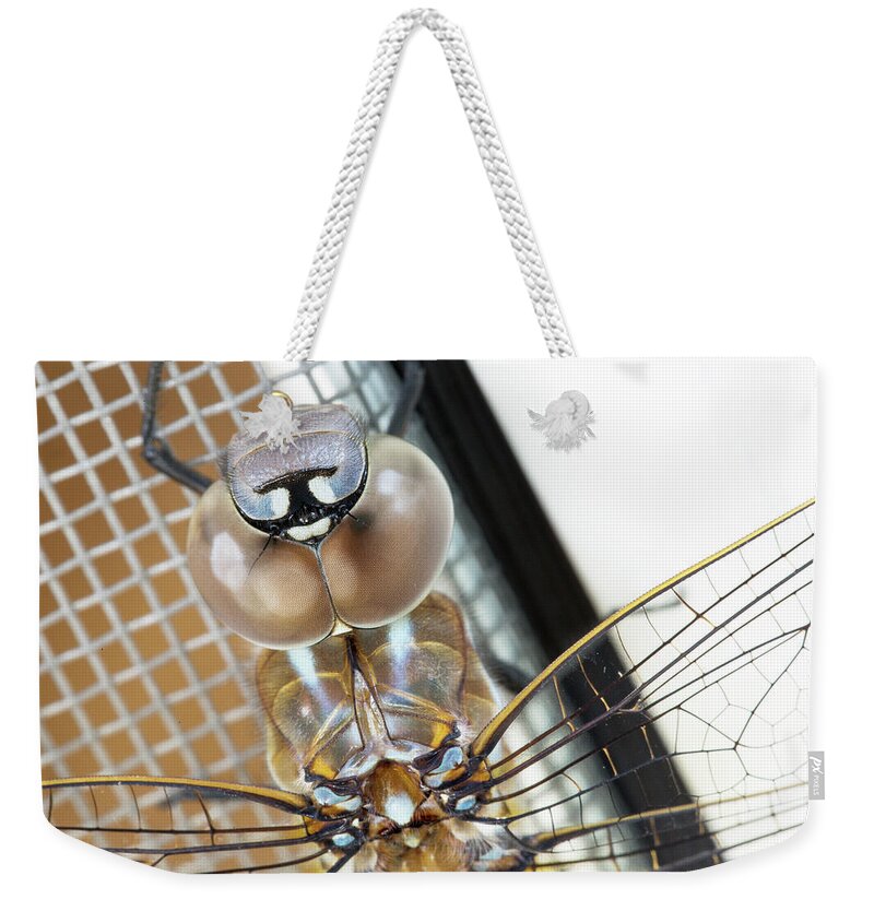Animal Weekender Tote Bag featuring the photograph Happy Dragonfly by Bob Cournoyer