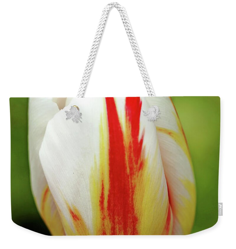 Tulips Weekender Tote Bag featuring the photograph Happy Generation Tulip by Debbie Oppermann