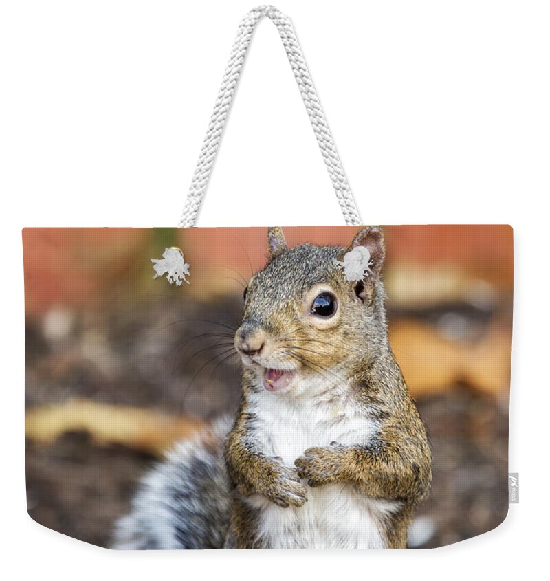 Smile Weekender Tote Bag featuring the photograph Happy Squirrel by Bill and Linda Tiepelman