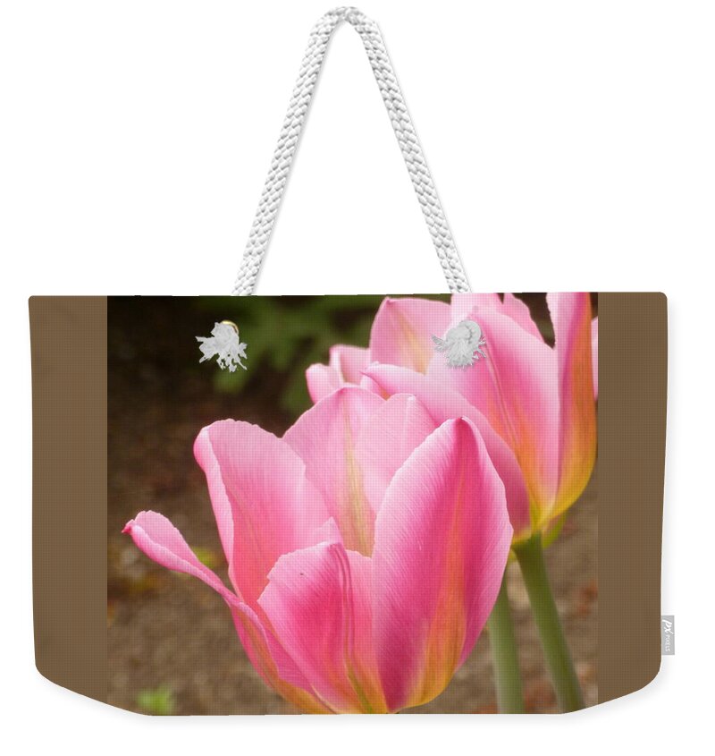 Pink Weekender Tote Bag featuring the photograph Happy Together by Lingfai Leung