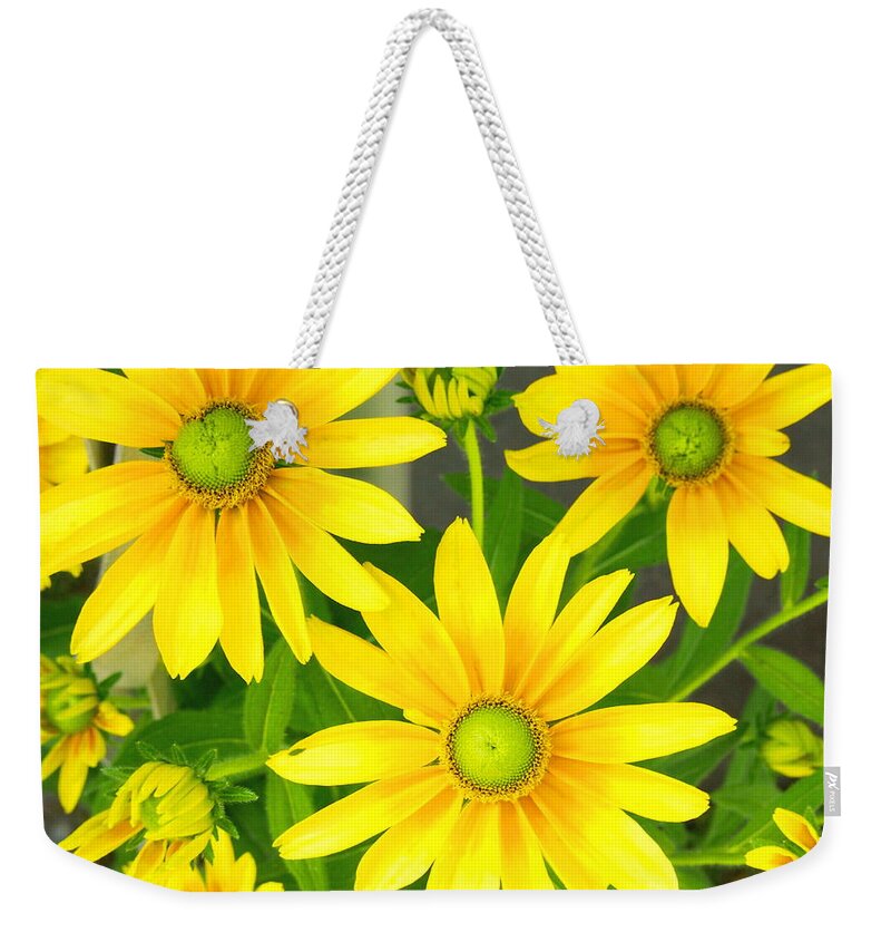 Nature Weekender Tote Bag featuring the photograph Happy Yellow Summer Cone Flowers in the Garden by Amy McDaniel