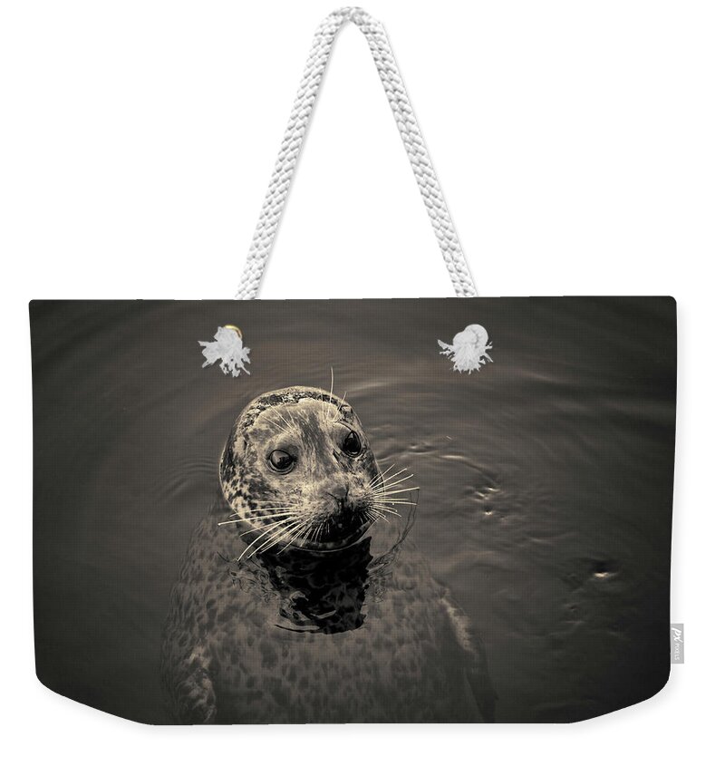 Seal Weekender Tote Bag featuring the photograph Harbor Seal I Toned by David Gordon