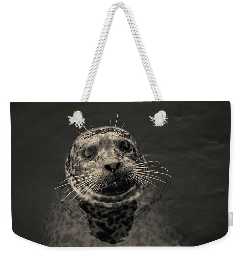 Seal Weekender Tote Bag featuring the photograph Harbor Seal III Toned SQ by David Gordon