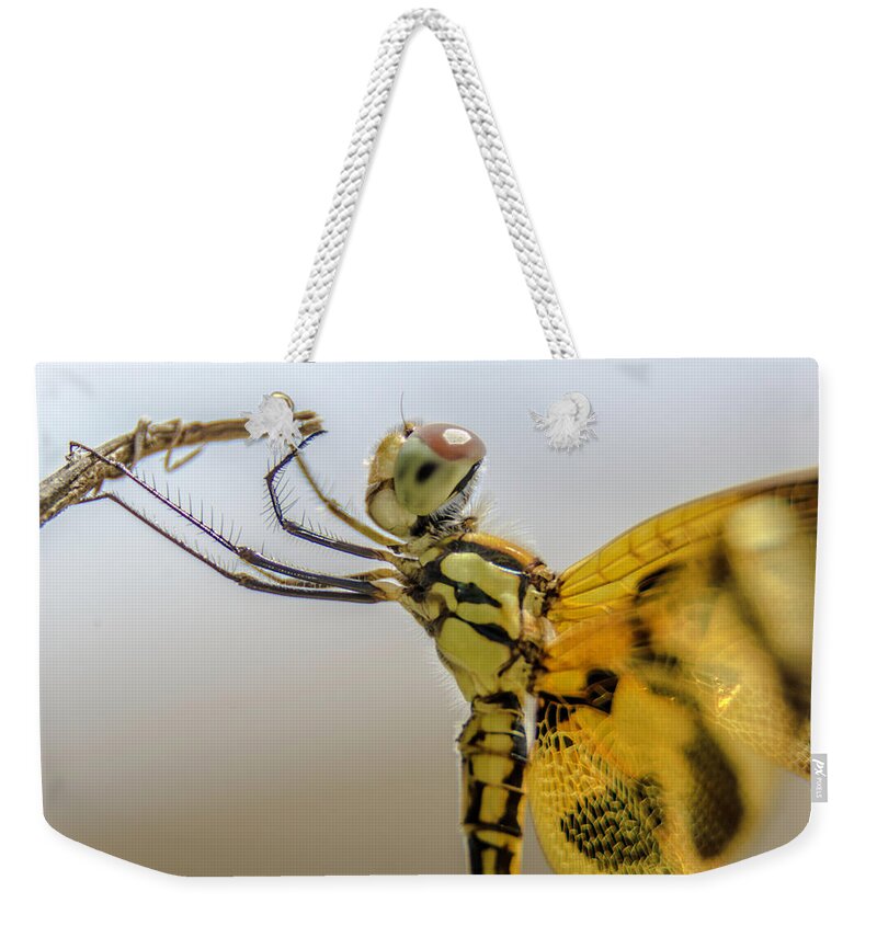 Dragonfly Weekender Tote Bag featuring the photograph Hard time to hold on by Wolfgang Stocker