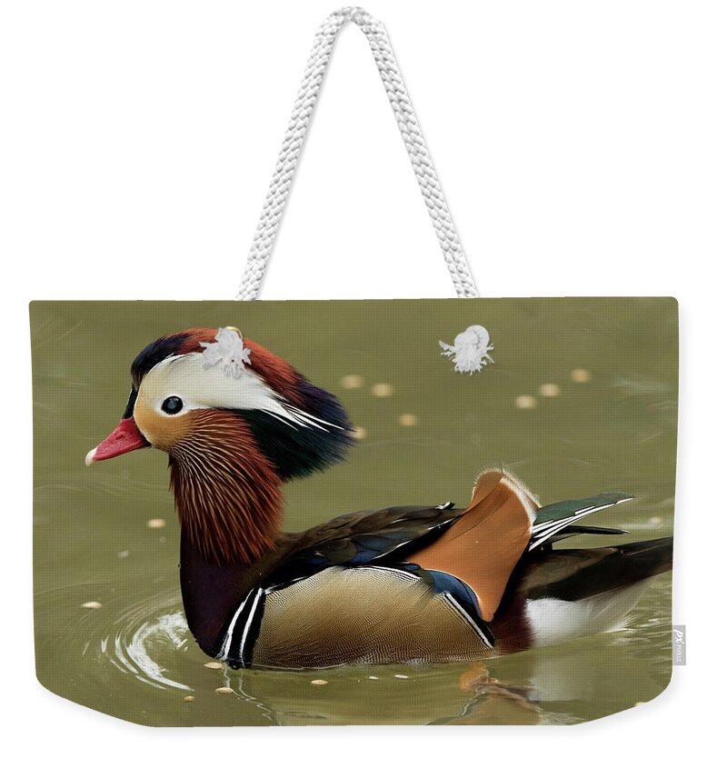 Harlequin Weekender Tote Bag featuring the photograph Harlequin Duck in South Carolina by Steven Upton