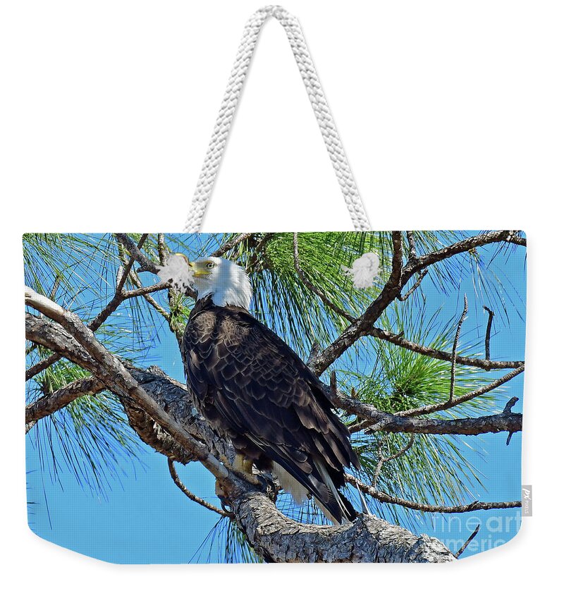 Eagles Weekender Tote Bag featuring the photograph Harriet beauty by Liz Grindstaff