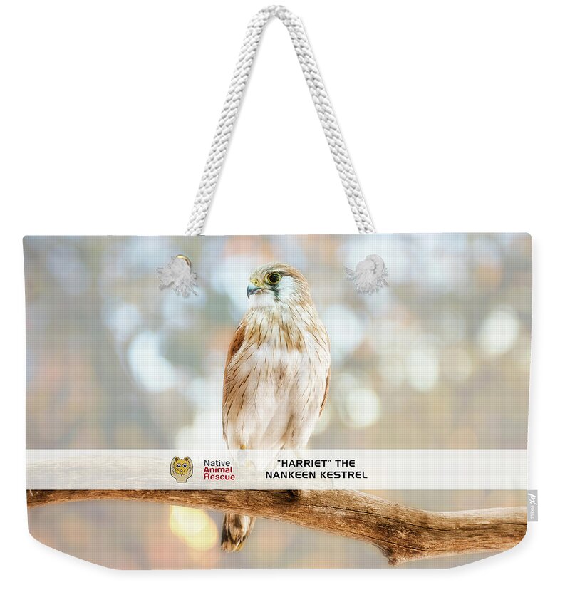 Mad About Wa Weekender Tote Bag featuring the photograph Harriet the Nankeen Kestrel, Native Animal Rescue by Dave Catley