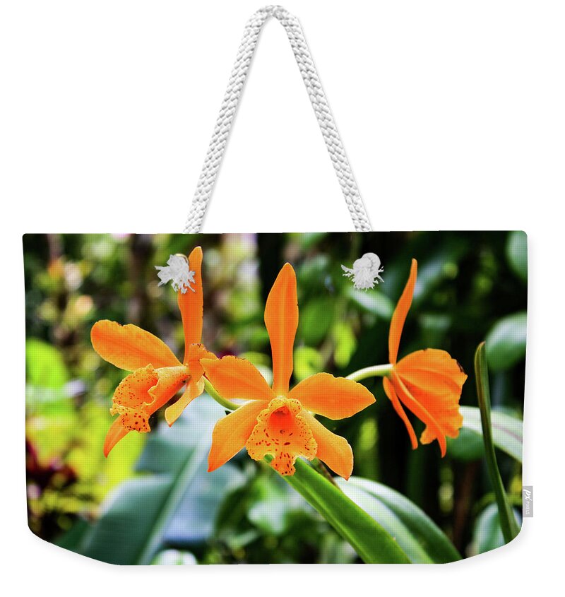 Orchid Weekender Tote Bag featuring the photograph Hawaii Orchid 2 by Matt Sexton