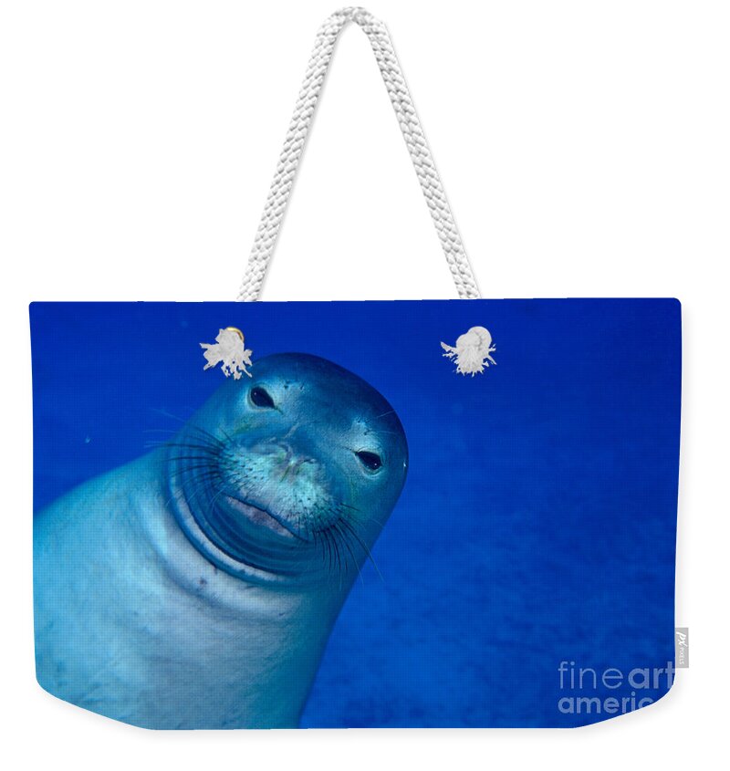 Animal Art Weekender Tote Bag featuring the photograph Hawaiian Monk Seal by Ed Robinson - Printscapes