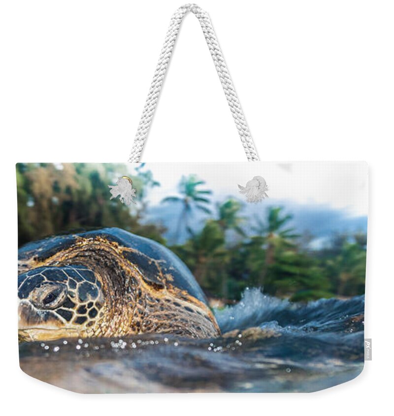 Turtle Panorama Weekender Tote Bag featuring the photograph Hawaiian Sea Turtle Panorama by Leonardo Dale