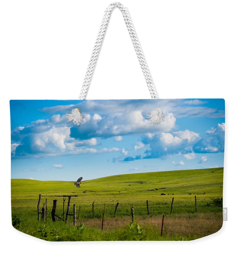Nature Weekender Tote Bag featuring the photograph Hawk and Flint Hills by Jeff Phillippi