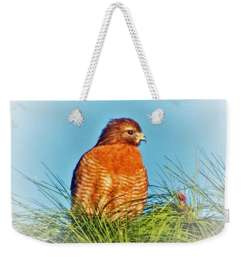 Wildlife Weekender Tote Bag featuring the photograph Hawk High by T Guy Spencer