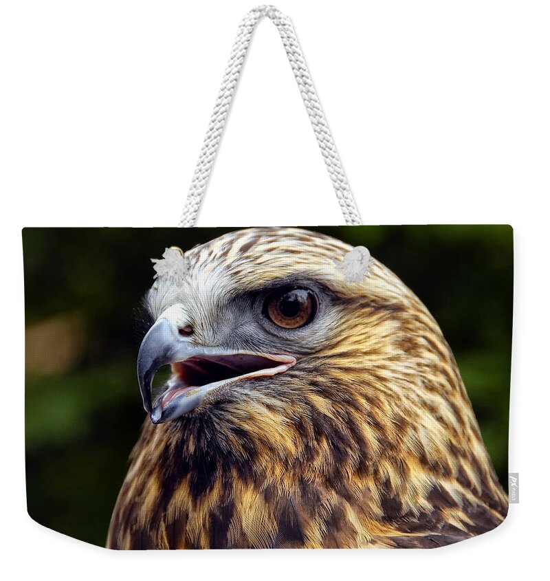 Bird Weekender Tote Bag featuring the photograph Hawk by Peg Runyan
