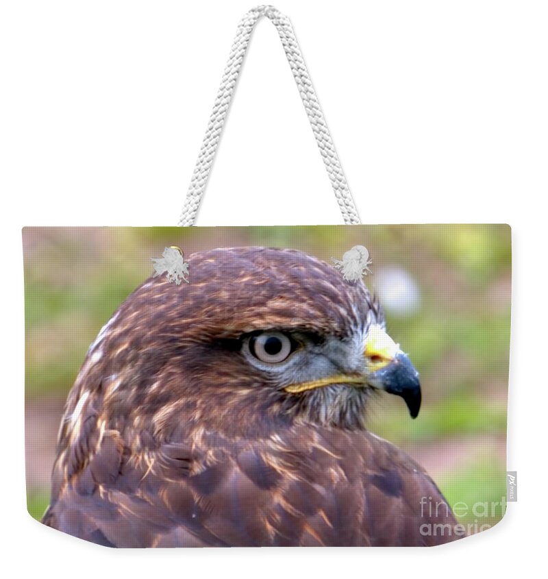 Bird Weekender Tote Bag featuring the photograph Hawks eye view by Stephen Melia