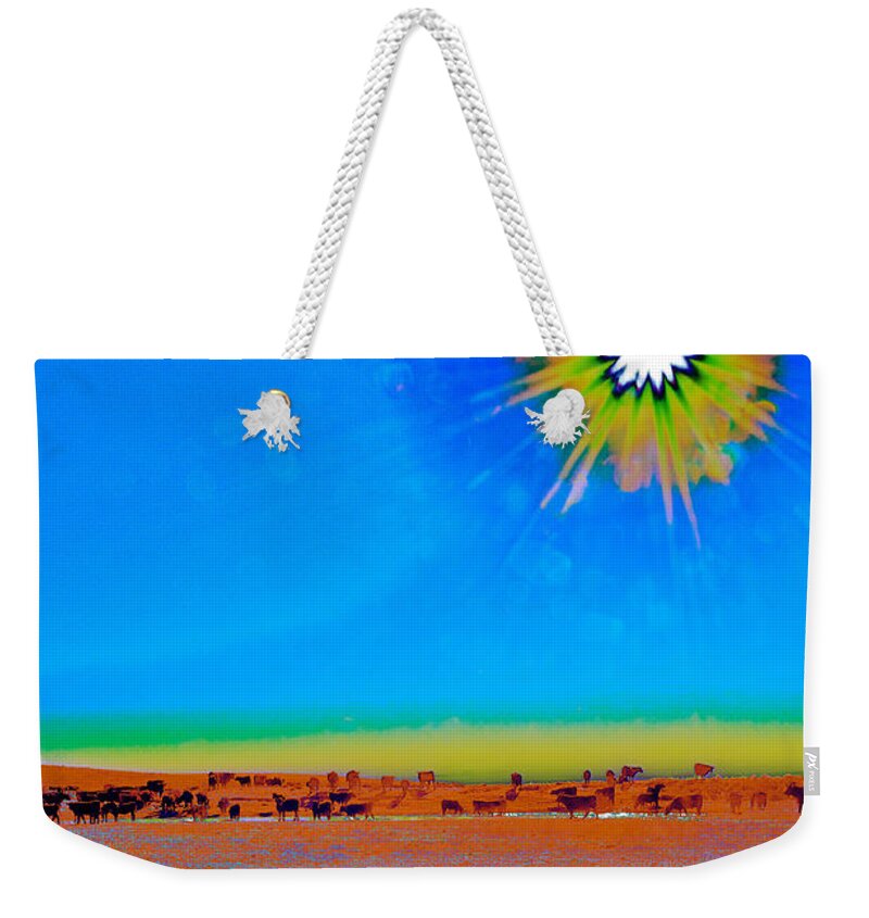 Cattle Weekender Tote Bag featuring the photograph Hay Meadow to Water by Amanda Smith
