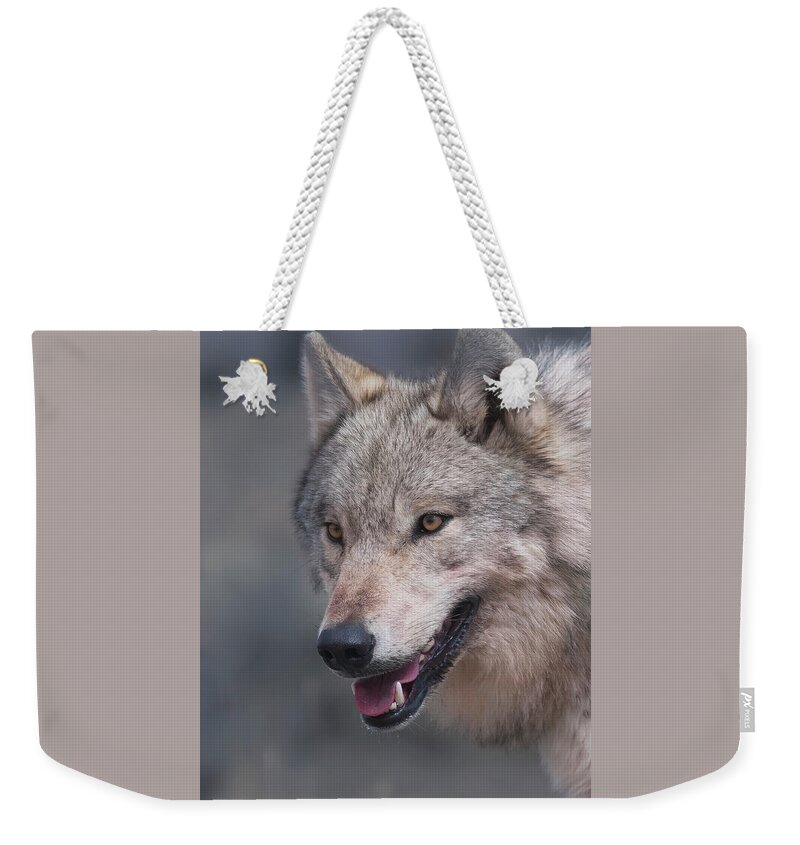 Mark Miller Photos Weekender Tote Bag featuring the photograph Hayden Wolf 541M by Mark Miller
