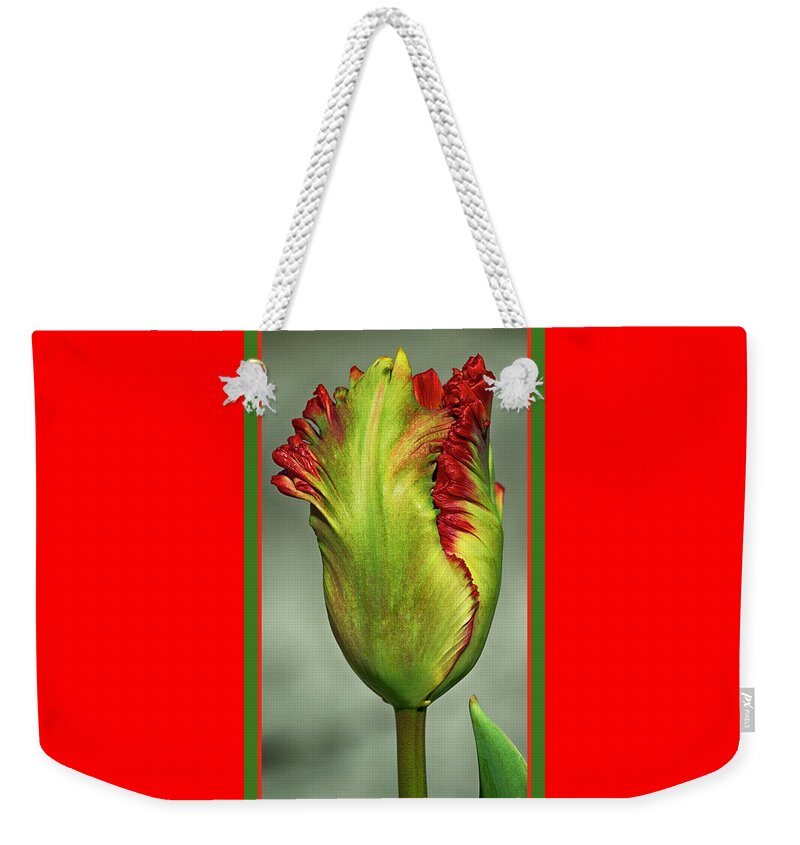 Seriously Weekender Tote Bag featuring the photograph Seriously Red 2 - Almost by Wendy Wilton