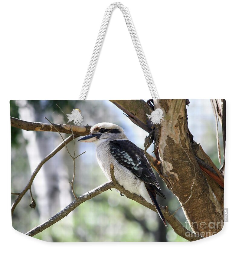 Bird Weekender Tote Bag featuring the photograph He sings the song of the bush by Linda Lees